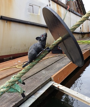 Rat shield guards to keep rats of your boat and home utility lines